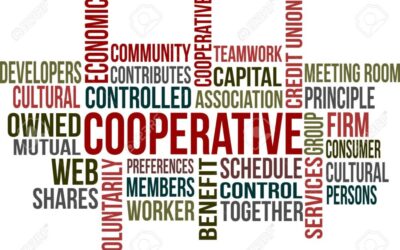 Cooperative, prestiti a tasso zero per impianti e software