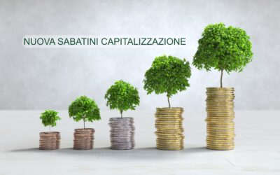 Nuova Sabatini Capitalizzazione: Un’opportunità per le PMI italiane